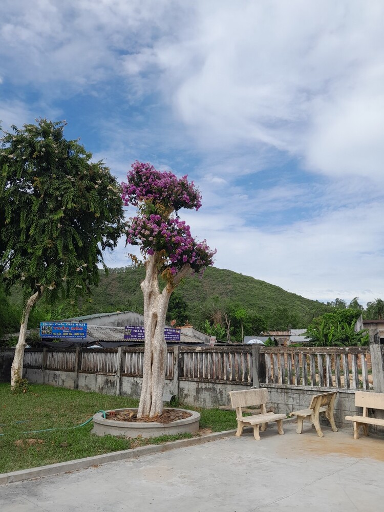 Hè làm chuyến HCM - Pleiku - Qui Nhơn, Xin tư vấn lịch trình Hè làm chuyến HCM - Pleiku - Qui Nhơn, Xin tư vấn lịch trình