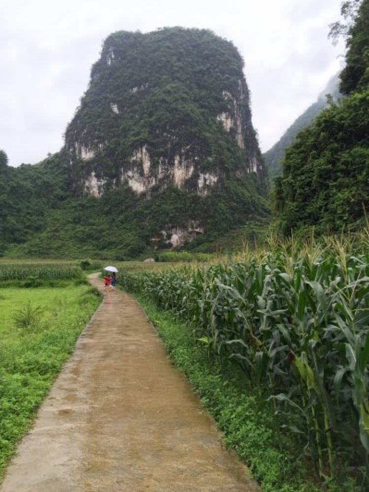 Xuyên Việt 31 ngày- Hè 2015 Xuyên Việt 31 ngày- Hè 2015