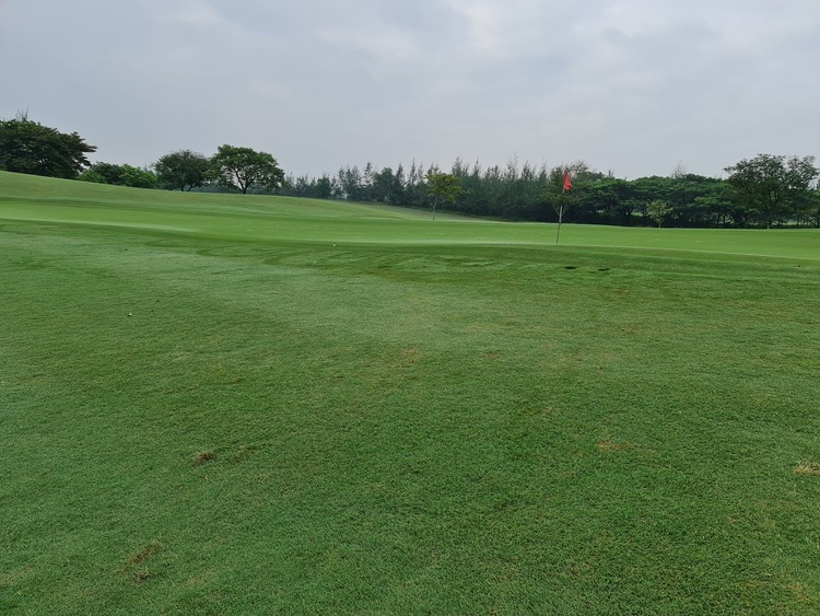 KHO HÌNH CỦA OS GOLF CLUB KHO HÌNH CỦA OS GOLF CLUB