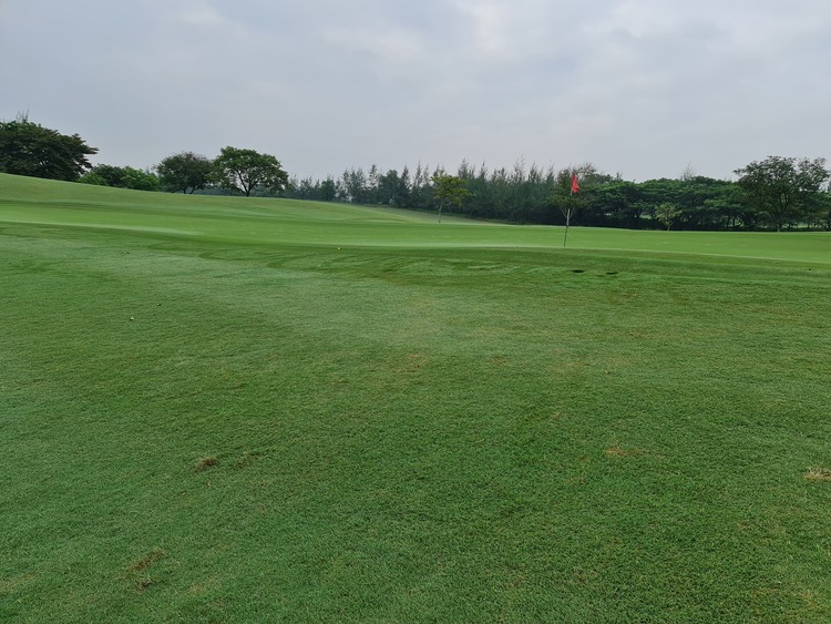 KHO HÌNH CỦA OS GOLF CLUB