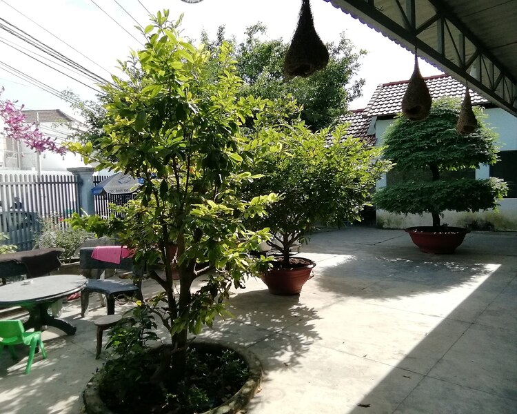 Từ biển Vũng Tầu đến với bãi Môn Phú Yên, suối đá Yăng Khánh Hòa. Từ biển Vũng Tầu đến với bãi Môn Phú Yên, suối đá Yăng Khánh Hòa.