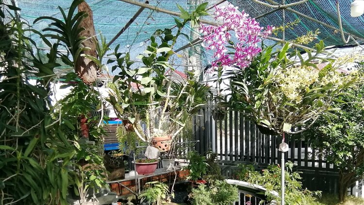 Từ biển Vũng Tầu đến với bãi Môn Phú Yên, suối đá Yăng Khánh Hòa. Từ biển Vũng Tầu đến với bãi Môn Phú Yên, suối đá Yăng Khánh Hòa.