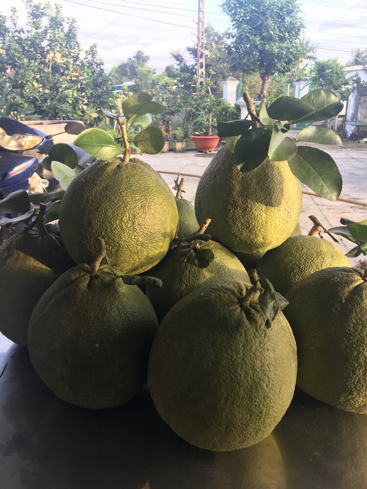 Từ biển Vũng Tầu đến với bãi Môn Phú Yên, suối đá Yăng Khánh Hòa. Từ biển Vũng Tầu đến với bãi Môn Phú Yên, suối đá Yăng Khánh Hòa.