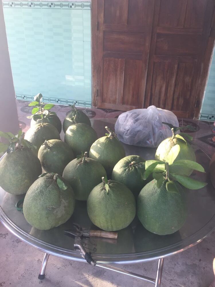Từ biển Vũng Tầu đến với bãi Môn Phú Yên, suối đá Yăng Khánh Hòa. Từ biển Vũng Tầu đến với bãi Môn Phú Yên, suối đá Yăng Khánh Hòa.