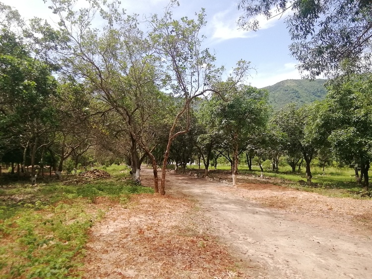 Từ biển Vũng Tầu đến với bãi Môn Phú Yên, suối đá Yăng Khánh Hòa. Từ biển Vũng Tầu đến với bãi Môn Phú Yên, suối đá Yăng Khánh Hòa.