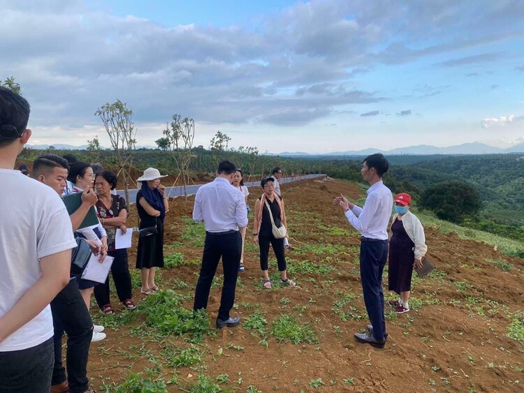 Chia lô, Bán nền Chia lô, Bán nền