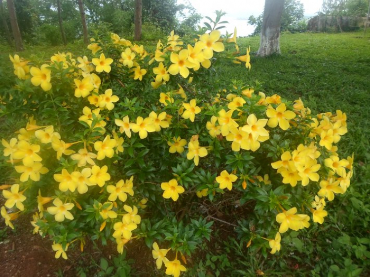 Xuyên Việt Hè 2015 Xuyên Việt Hè 2015