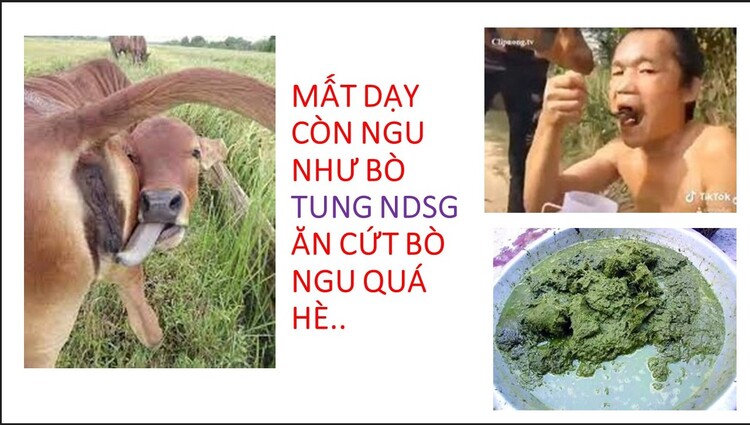 "Sốt ruột" tiến độ cao tốc Bến Lức - Long Thành, Phó Thủ tướng yêu cầu giải phóng mặt bằng trước 30/8