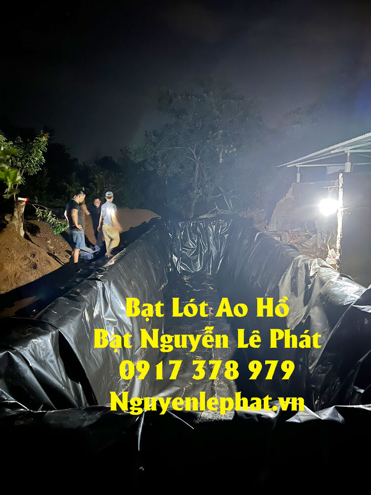 Bạt Lót Ao Hồ Chứa Nước Nuôi Cá HDPE Bình Dương Giá Rẻ