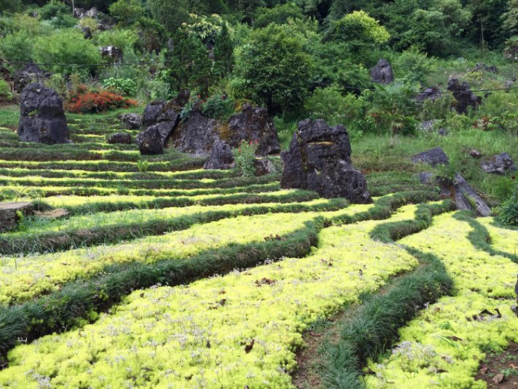 Xuyên Việt 31 ngày- Hè 2015