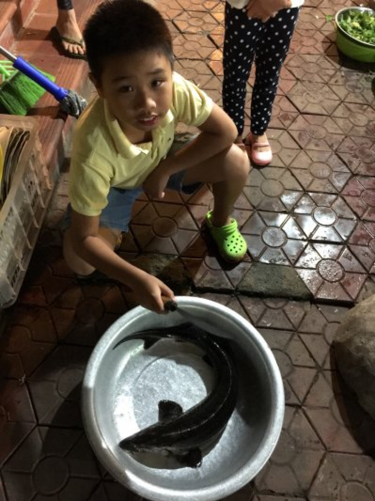 Xuyên Việt 31 ngày- Hè 2015 Xuyên Việt 31 ngày- Hè 2015