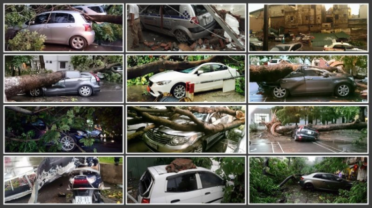 Hàng loạt ô tô Hà Nội bị cây đè sau mưa dông 30 phút