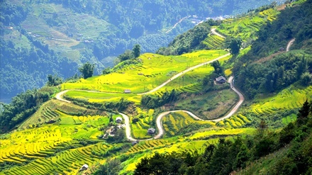 mu cang chai.jpg
