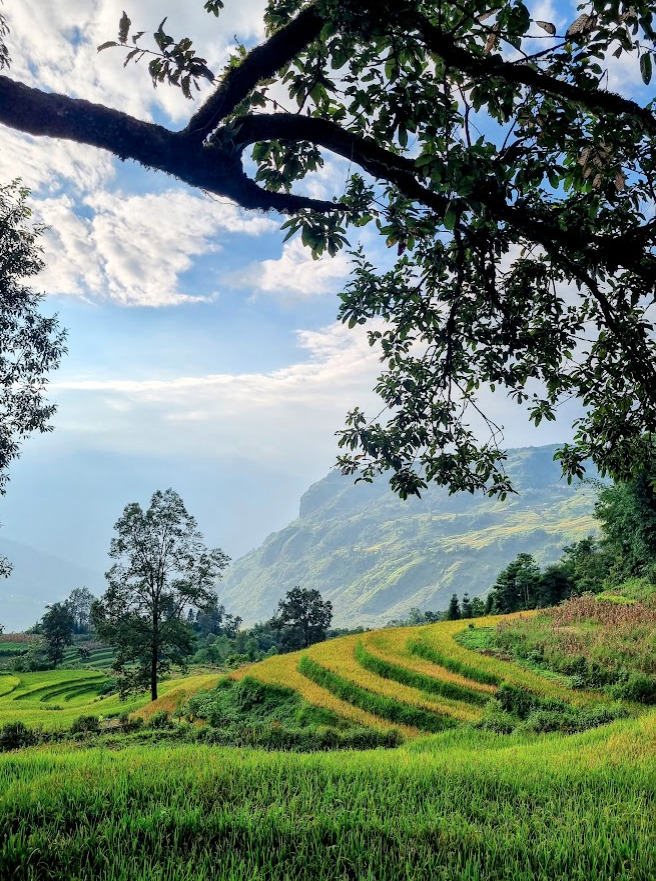 Tổng hợp các thớt về DALAT từ A đến Z Tổng hợp các thớt về DALAT từ A đến Z