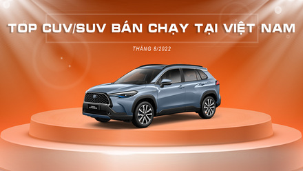 TOP PHAN KHUC 2022 suv.jpg