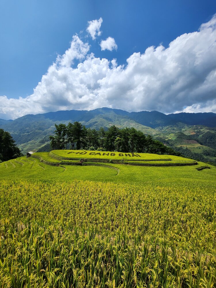 Hành trình phượt Tây Bắc Sapa - Mù Cang Chải với sedan