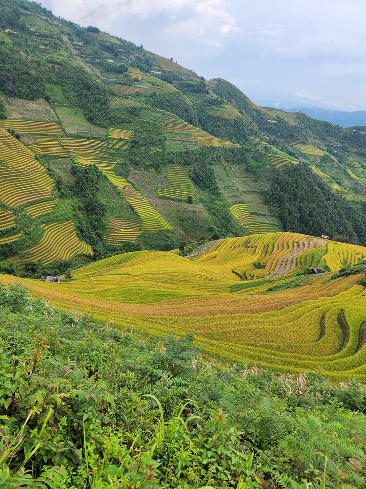 Hành trình phượt Tây Bắc Sapa - Mù Cang Chải với sedan