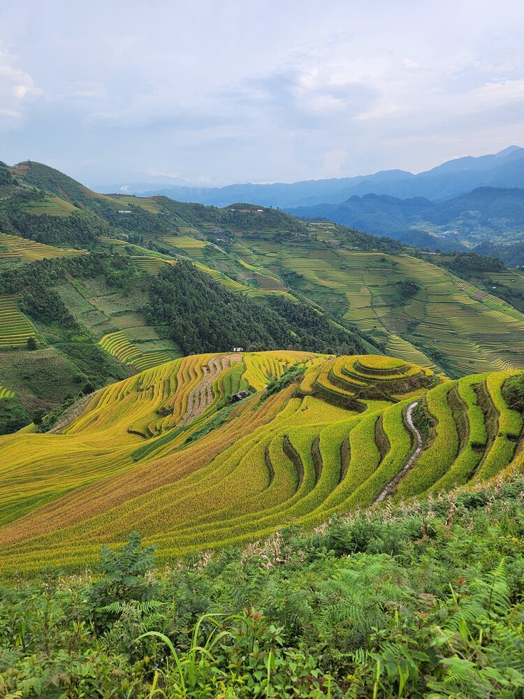 Hành trình phượt Tây Bắc Sapa - Mù Cang Chải với sedan