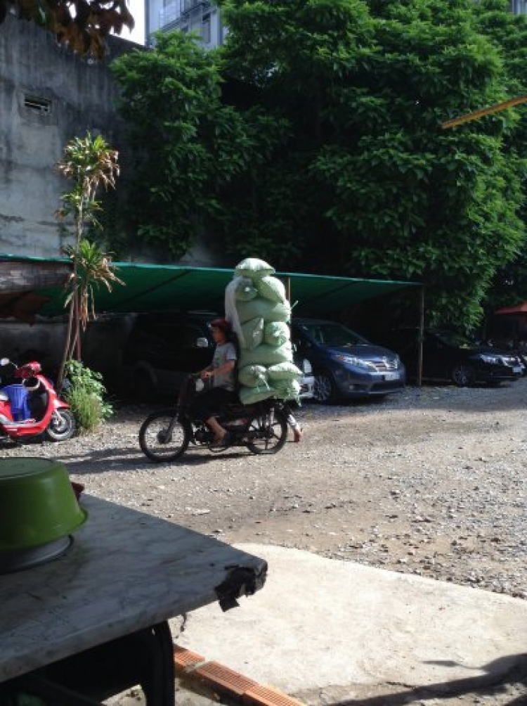 13 bao đá bi