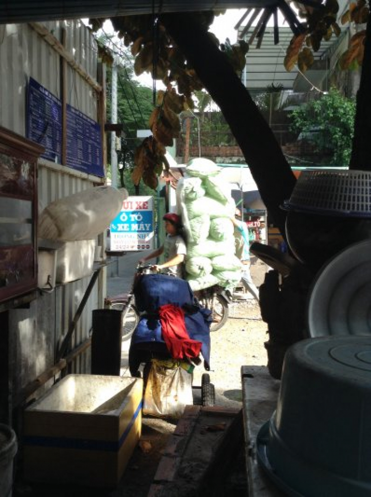 13 bao đá bi
