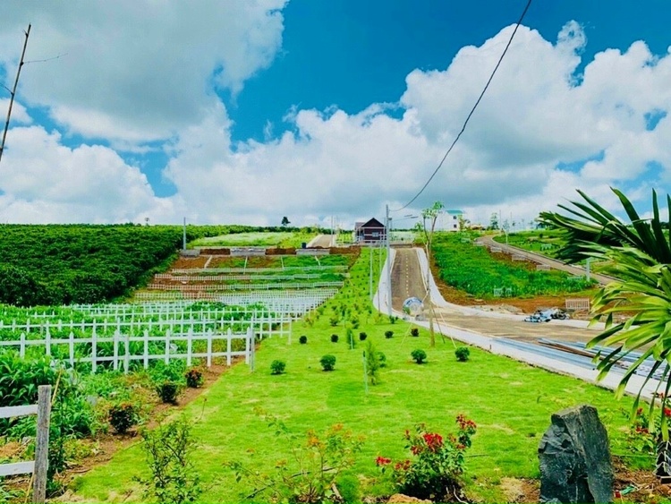 Thông tin xoay quanh BĐS Bảo Lộc. Thông tin xoay quanh BĐS Bảo Lộc.