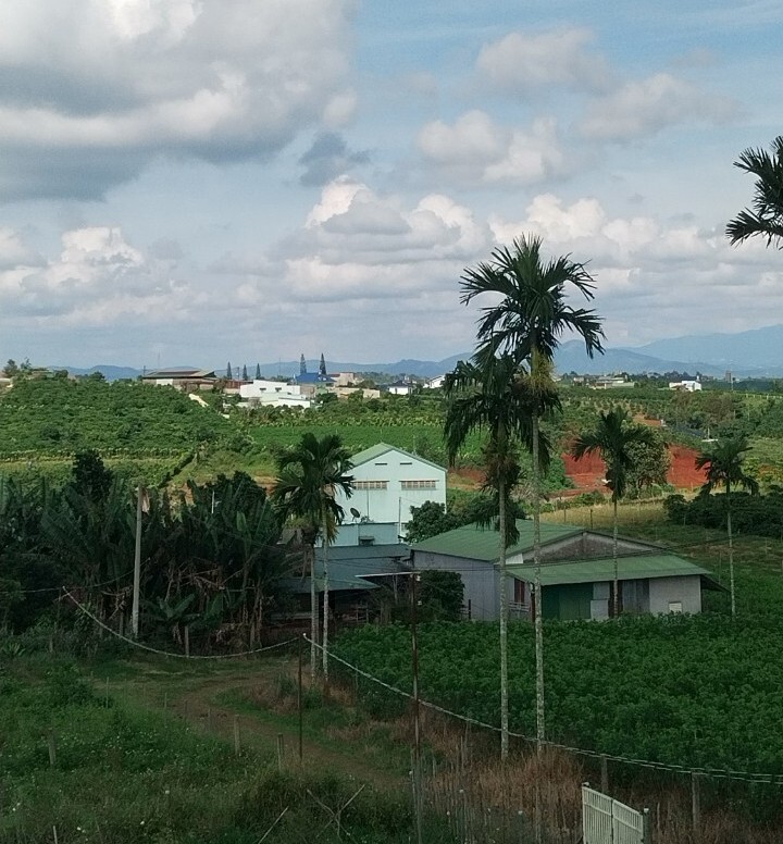 Thông tin xoay quanh BĐS Bảo Lộc.