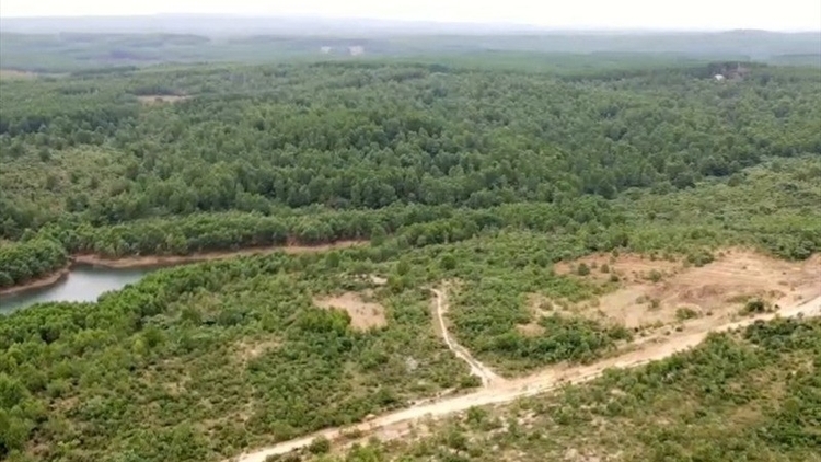 Hàng loạt "siêu" dự án của FLC bị thu hồi tại Quảng Trị, Nghệ An, Gia Lai Hàng loạt "siêu" dự án của FLC bị thu hồi tại Quảng Trị, Nghệ An, Gia Lai