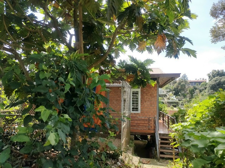 Thông tin xoay quanh BĐS Bảo Lộc. Thông tin xoay quanh BĐS Bảo Lộc.