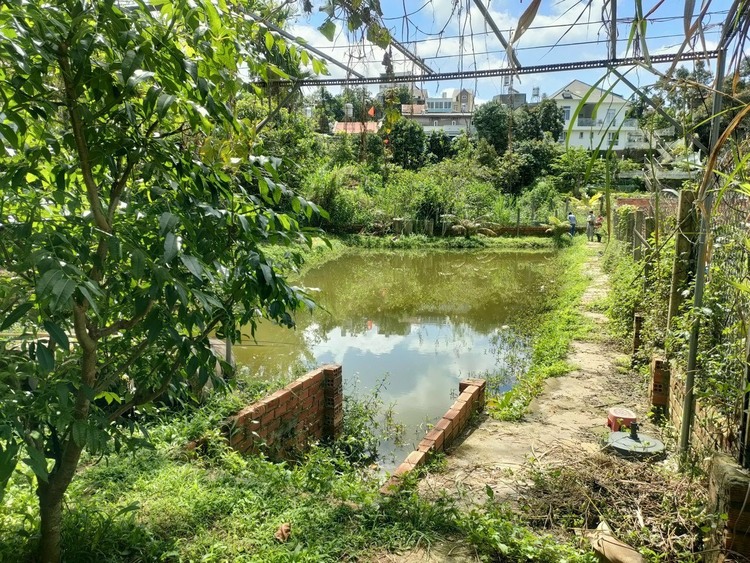 Thông tin xoay quanh BĐS Bảo Lộc. Thông tin xoay quanh BĐS Bảo Lộc.