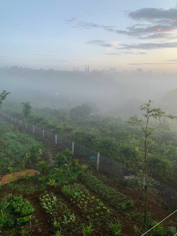 Thông tin xoay quanh BĐS Bảo Lộc.