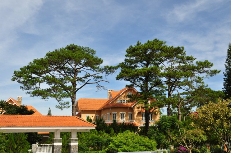 DALAT GIỜ CHỈ CÒN TRONG KÝ ỨC