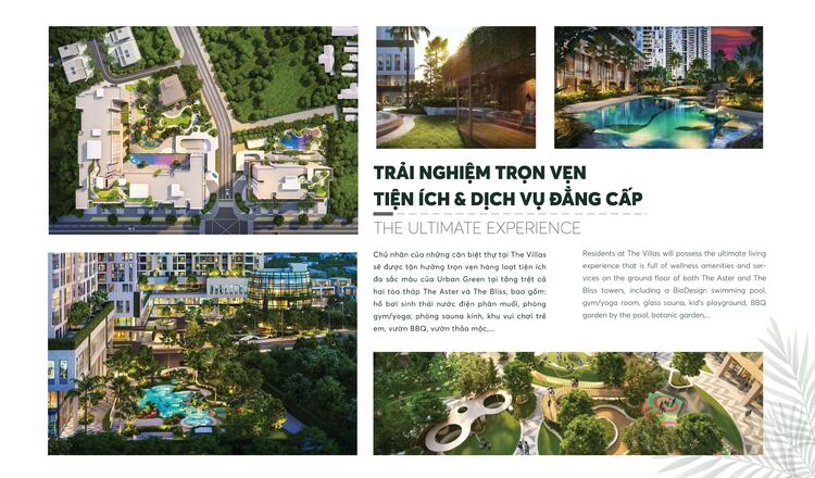 Urban Green của Kusto - cđt của Đảo kim cương Urban Green của Kusto - cđt của Đảo kim cương