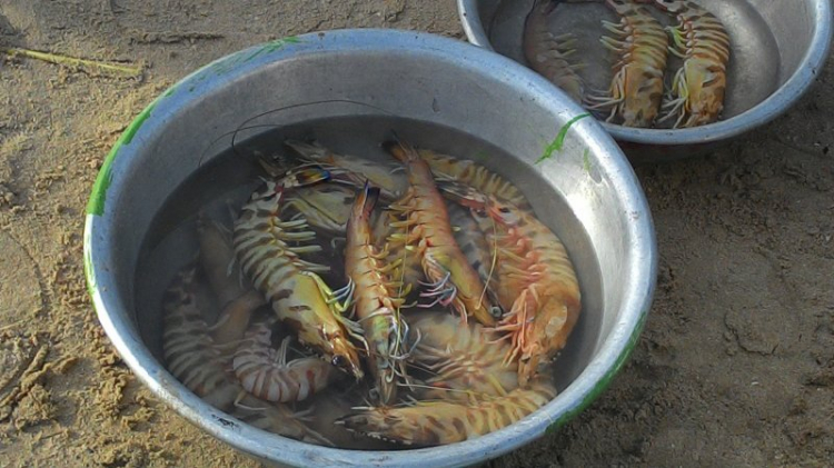 Xác nhận thông tin đi đứng ăn ngũ tại phan thiết Xác nhận thông tin đi đứng ăn ngũ tại phan thiết
