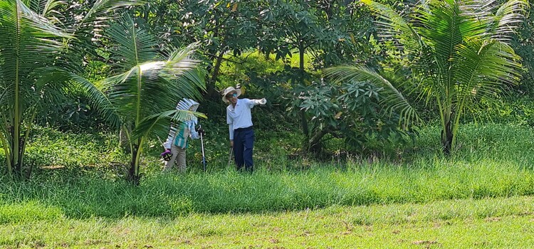 KHO HÌNH CỦA OS GOLF CLUB