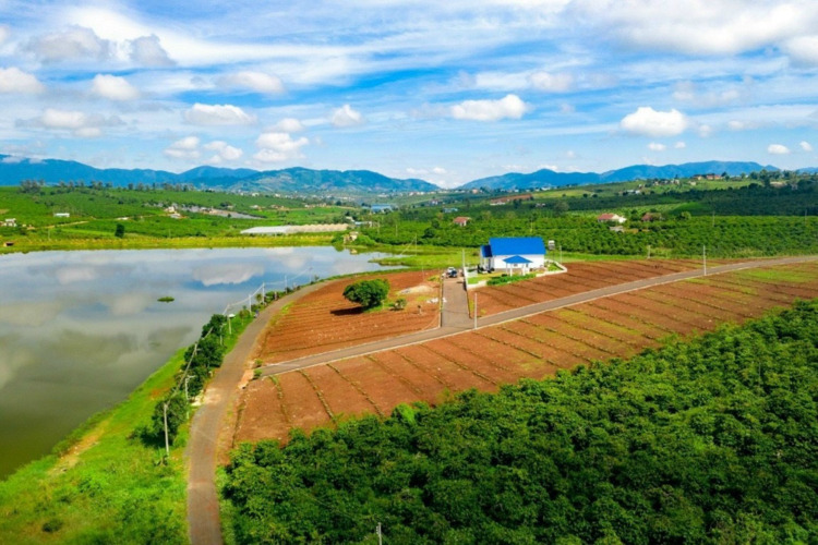 Hậu "cơn lốc" sốt đất tại Bảo Lộc, có nên đầu tư hay không?