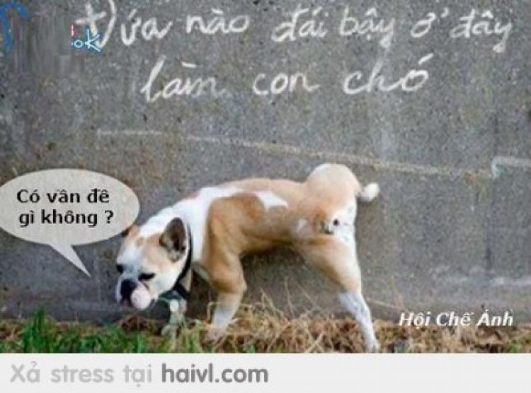 XXX: "Đ** M* MÀY! BỐ PHẠT MÀY HẾT LỖI NHỐT XE MÀY LUÔN BÂY GIỜ XXX: "Đ** M* MÀY! BỐ PHẠT MÀY HẾT LỖI NHỐT XE MÀY LUÔN BÂY GIỜ