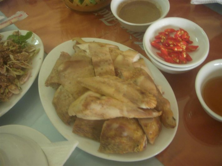 Hè về - Dạo chơi Cao nguyên, Lượn lờ Vịnh biển! Hè về - Dạo chơi Cao nguyên, Lượn lờ Vịnh biển!