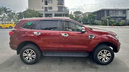 Everest trend 2019.jpg