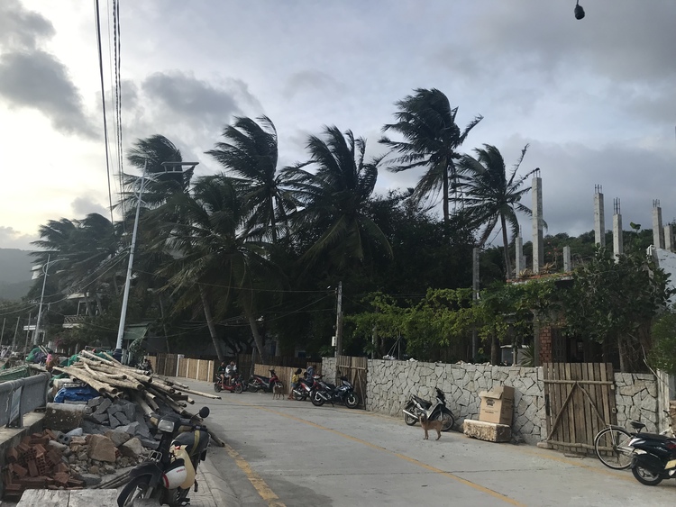 Du lịch Ninh Thuận dịp Tết âm lịch 2023 Du lịch Ninh Thuận dịp Tết âm lịch 2023