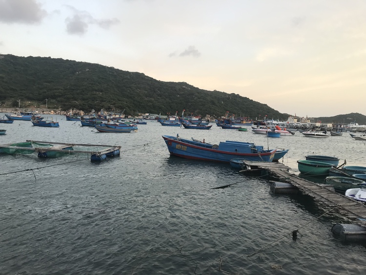 Du lịch Ninh Thuận dịp Tết âm lịch 2023 Du lịch Ninh Thuận dịp Tết âm lịch 2023
