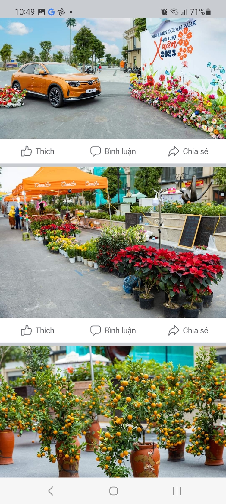 VINHOMES GRAND PARK QUẬN 9 LÀ CÁI “BẪY GẤU” CHO NHỮNG KHÁCH YÊU MÀU HỒNG!