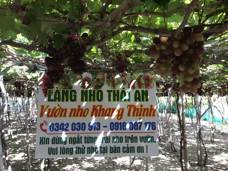 Du lịch Ninh Thuận dịp Tết âm lịch 2023 Du lịch Ninh Thuận dịp Tết âm lịch 2023