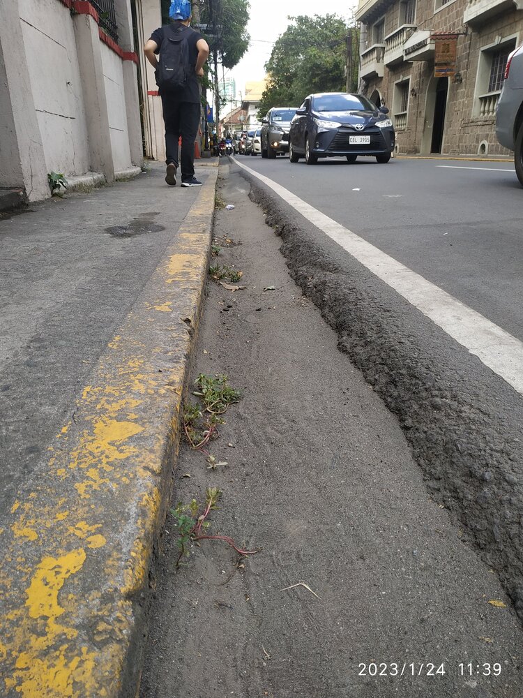 Manila