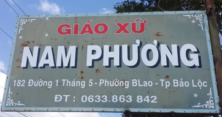 Hè về !