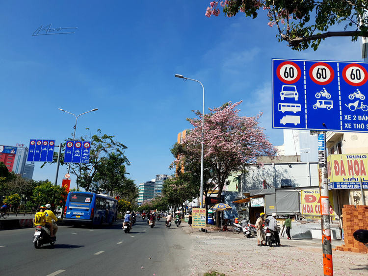 Những con đường đẹp nhất Sài Gòn TP.HCM Những con đường đẹp nhất Sài Gòn TP.HCM