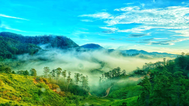 Đà Lạt ngày trở lại Đà Lạt ngày trở lại
