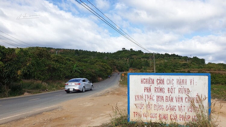 Cần tư vấn Sài Gòn Đà Lạt cho gia đình có trẻ em đi 4 ngày 3 đêm