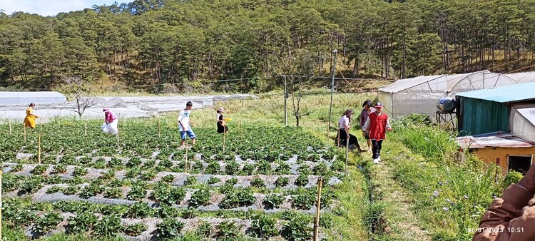Khu vực chia sẻ những hình ảnh Hành trình Xuyên Việt Tết 2023 Khu vực chia sẻ những hình ảnh Hành trình Xuyên Việt Tết 2023