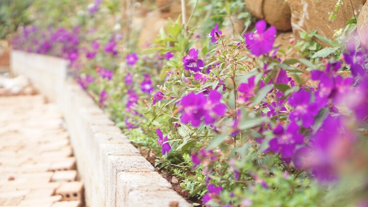 Lập hội OS Thủ Đức Lập hội OS Thủ Đức