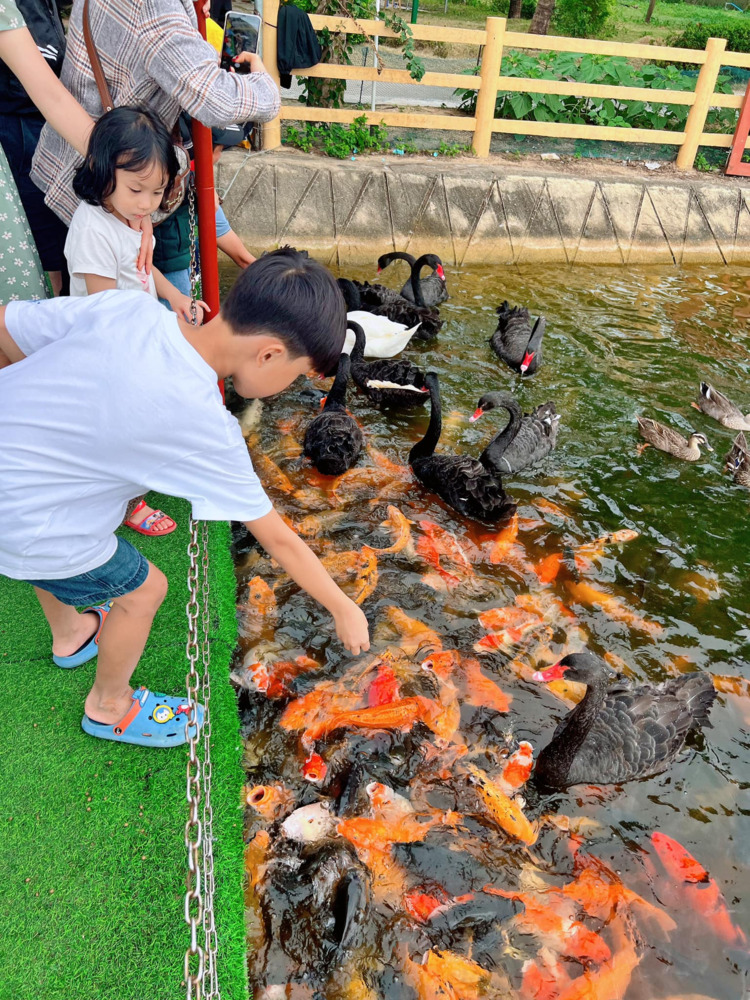 Hành trình về Quê ăn Tết 2023 (Biên Hòa - Đảo Lý Sơn)